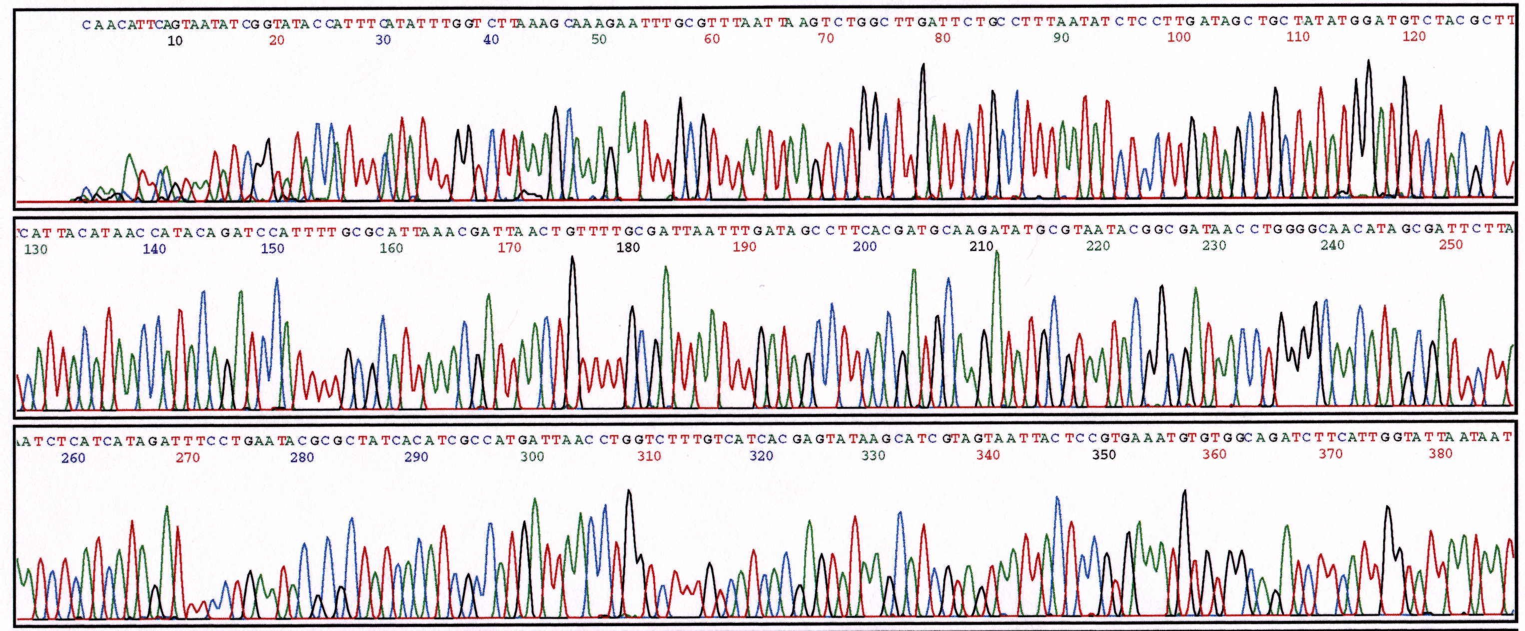 Chromatogram