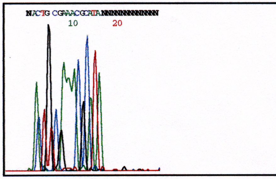 Chromatogram