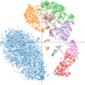 Single-cell transcriptomics