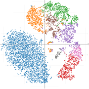 single cell