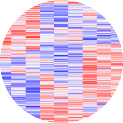 single cell